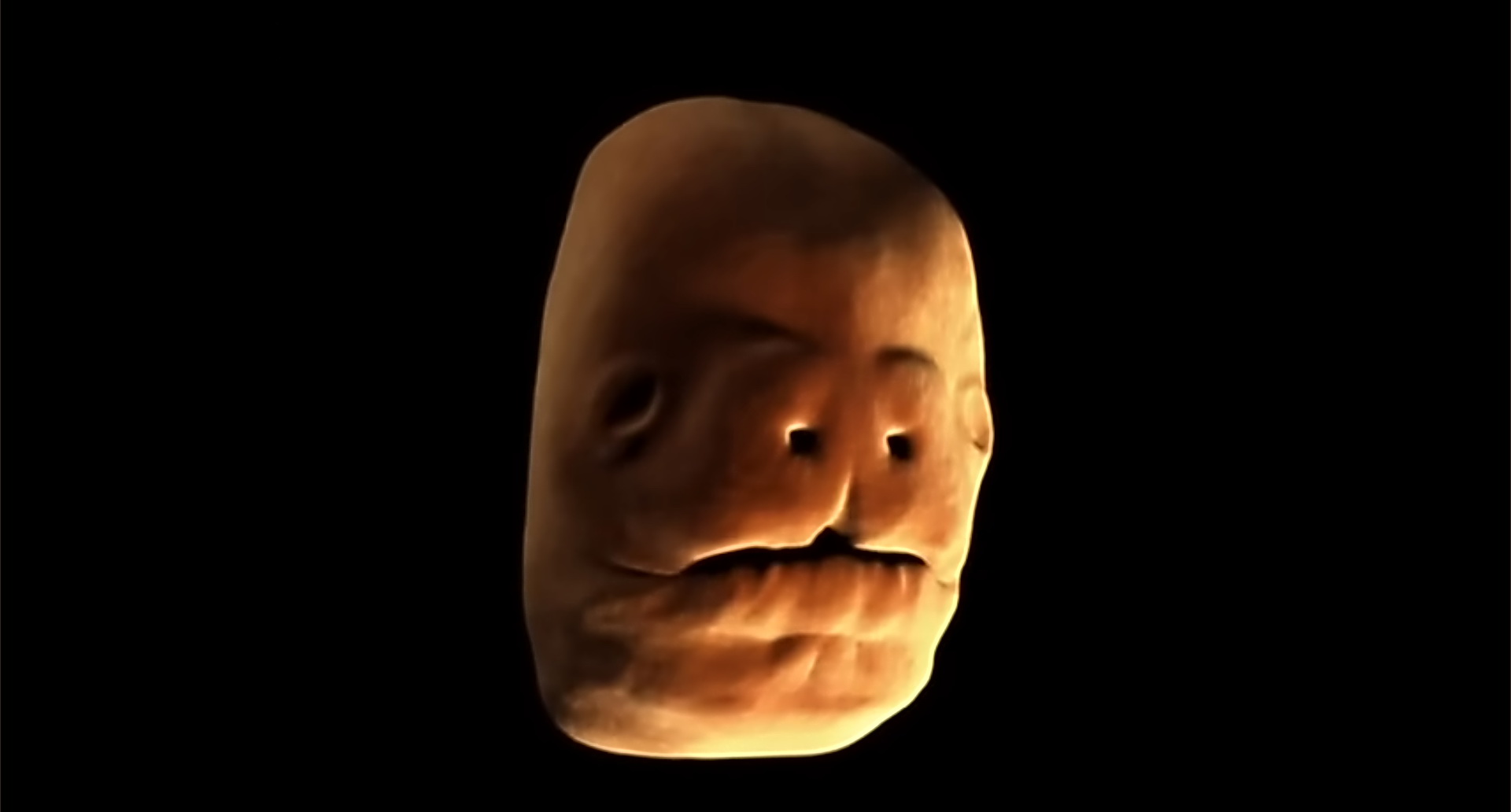 Imagen de un rostro humano durante la quinta semana de embarazo