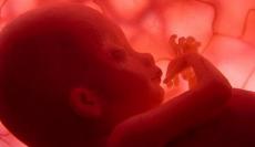 Tres ejemplos del valor del feto en el seno materno